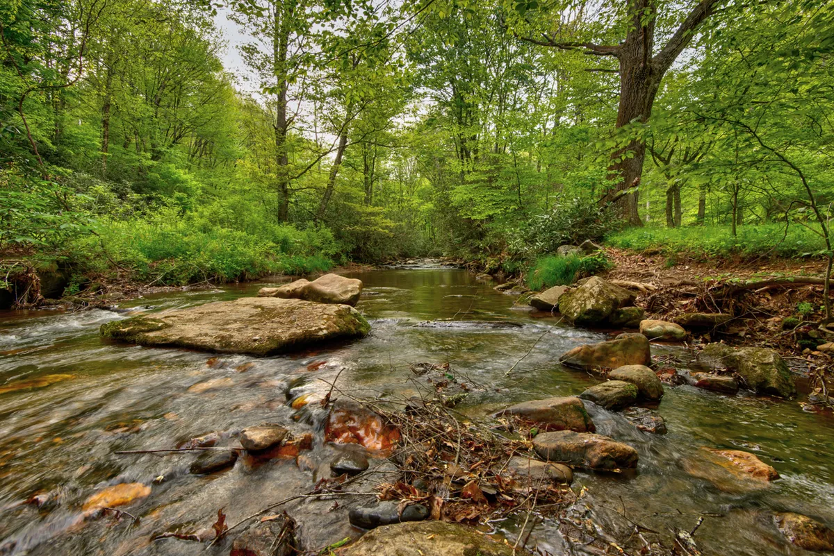A serene creek flows gently over large rocks, flanked by lush greenery. The water is clear and inviting, with a tranquil ambiance that suggests peaceful mornings or afternoons spent relaxing by the water's edge. The scene feels secluded and deeply connected to nature, with space for picnicking or exploring along the creek banks.