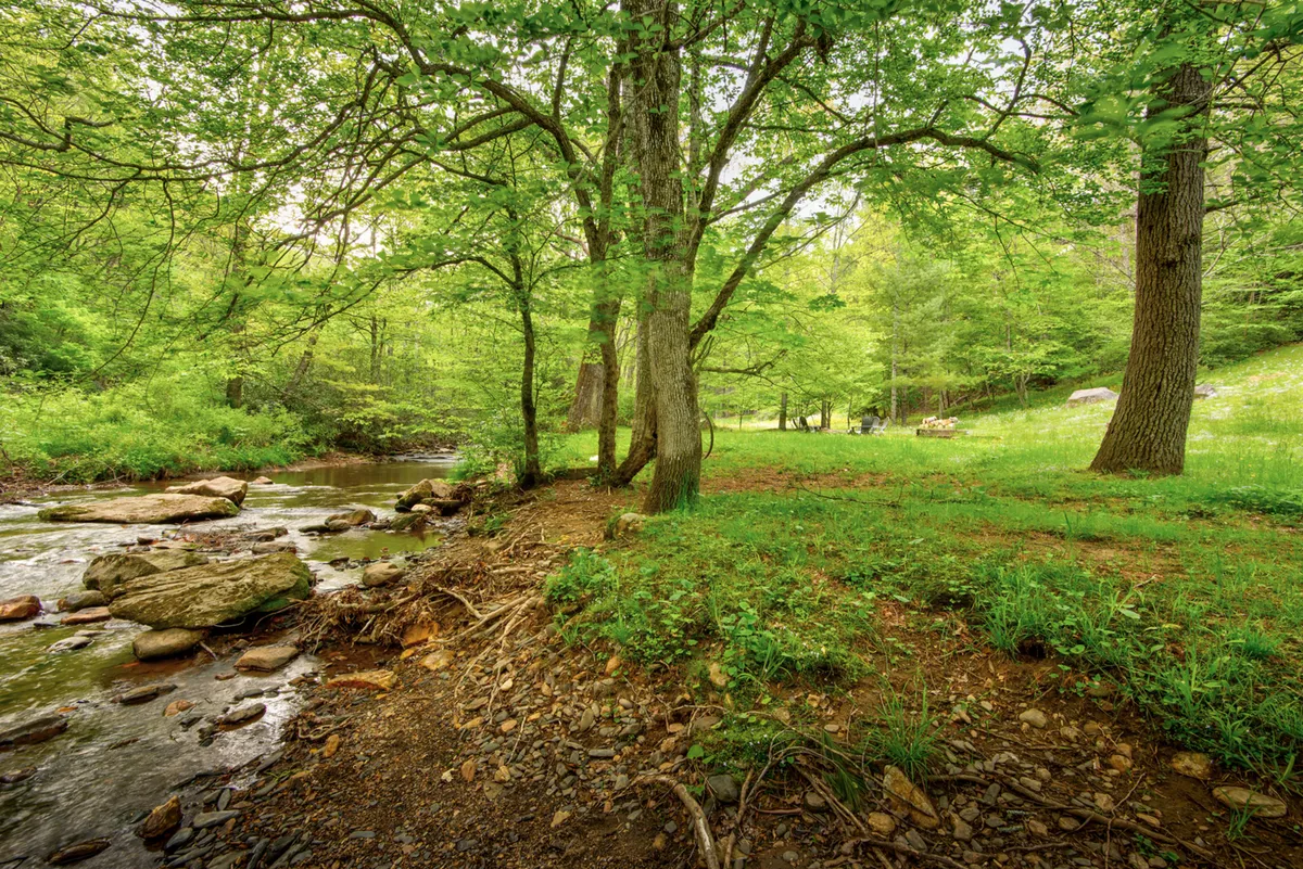 This exterior image features a peaceful stream running through a grassy area surrounded by trees and natural rock formations. The setting is lush and inviting, ideal for outdoor play and exploration.